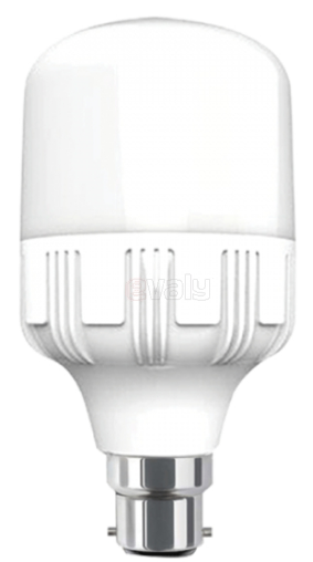 Hi Power LED Light